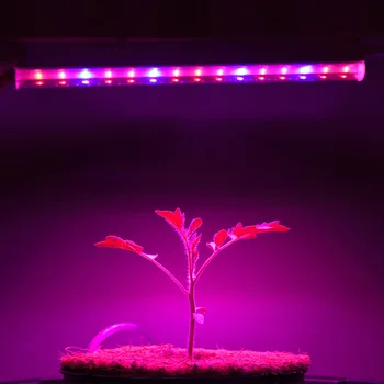 Papildomas Apšvietimas, Augalų Augimo Lempa su 30 LED Augalų Lempos Raudonos Ir Mėlynos spalvos, Su Atskira Išardymas Augalų
